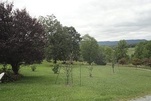 4th image of 820 Mission Dr