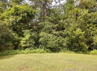 4630 Burdock Ct, Middleburg, FL 32068