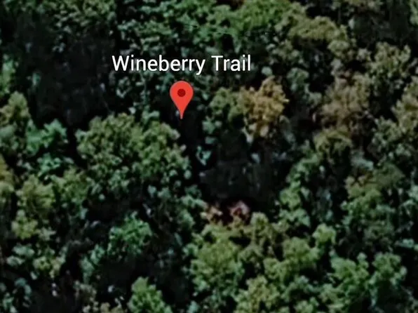 Wineberry Trl, Ewing, VA 24248