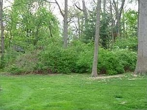 4th image of 16811 Edinburg Ln
