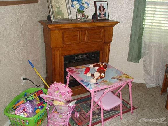 Pretty Electric Fireplace