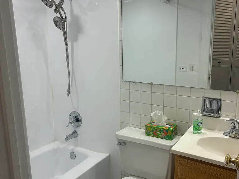 515 W Wrightwood Ave #210 — Photo 8