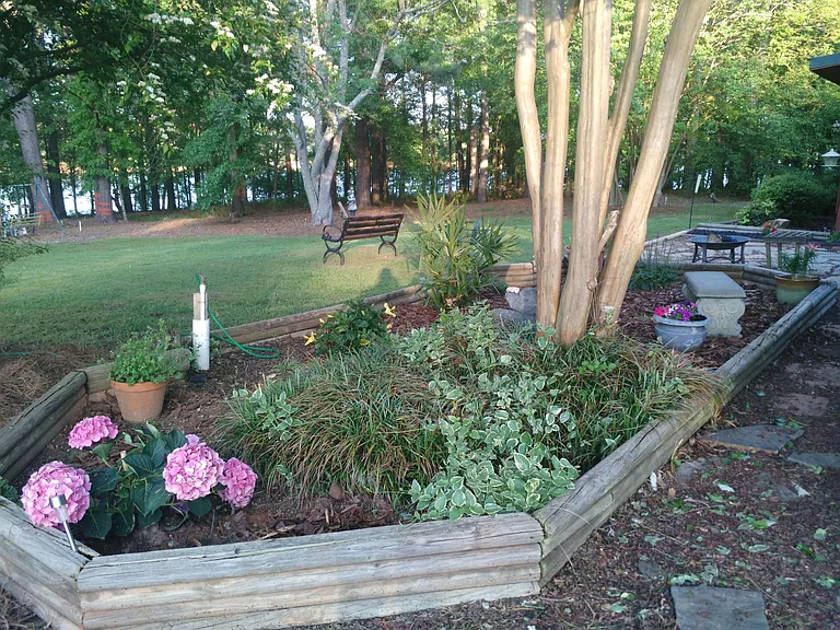 Water garden