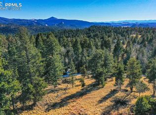 56 E Nevada Cir, Florissant, CO 80816