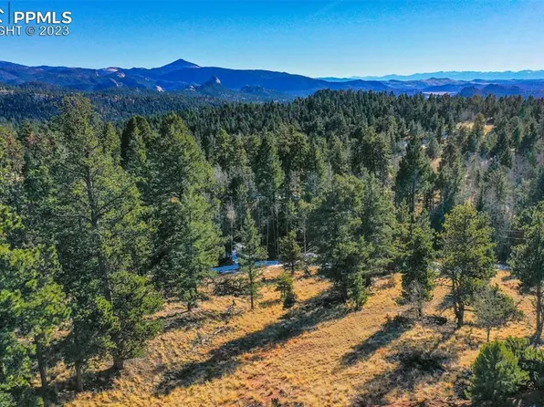 56 E Nevada Cir, Florissant, CO 80816