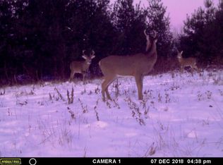 0 770th Ave, Spring Valley, WI 54767