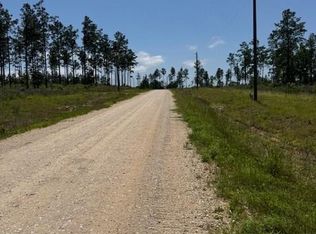 37 Reveille Rd, Livingston, TX 77351