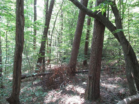 2nd image of 0 Gauley Falls Rd