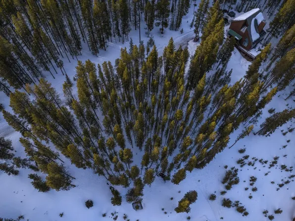 194 Golden Crown Lane, Blue River, CO 80424