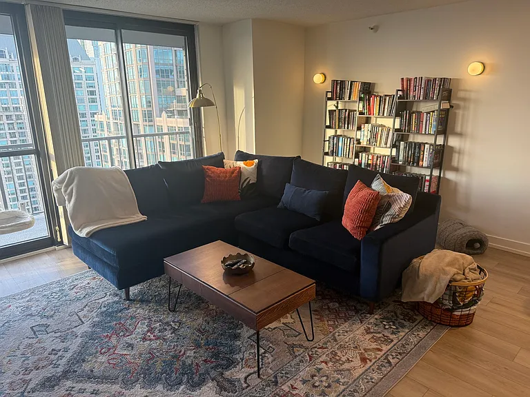 10 E Ontario St #5007 — Photo 14