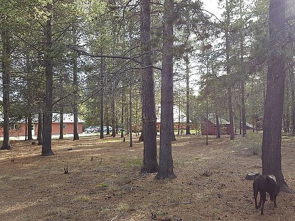 NE corner of property