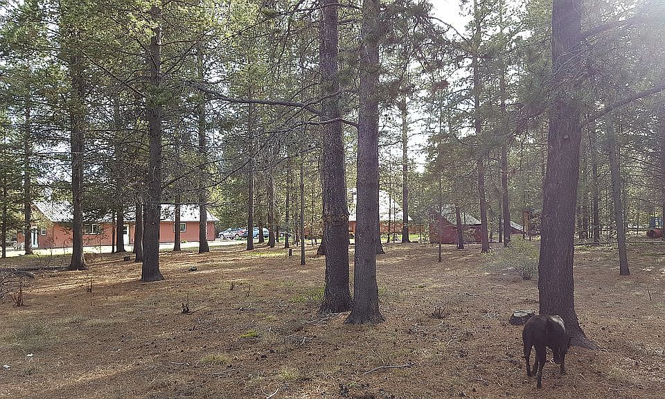 NE corner of property