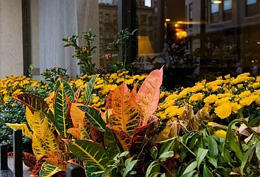 Rented by Milford Management