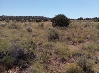 8875 E Juniper Berry Trl, Snowflake, AZ 85937