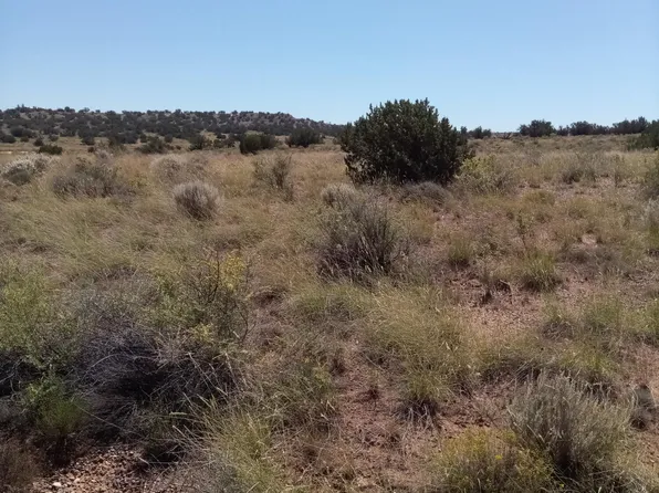 8875 E Juniper Berry Trl, Snowflake, AZ 85937