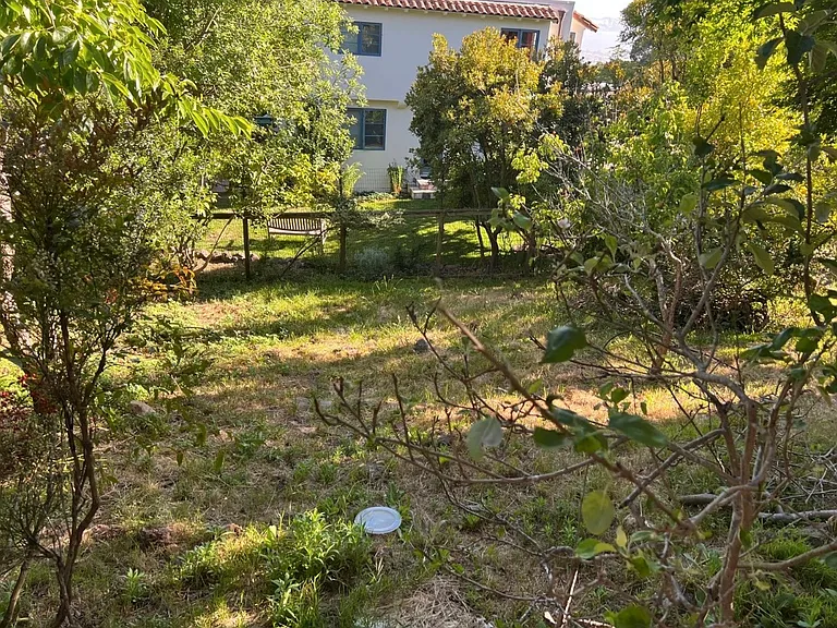 516 Cragmont Ave — Photo 2