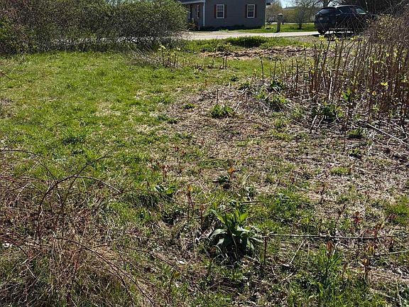 4th image of 146 Rocco Point Rd