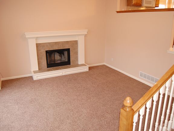 Wood burning fireplace