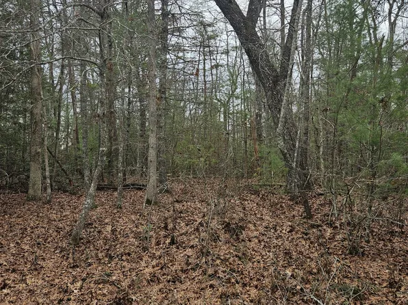5053 Broken Bow Dr Lot 217, Crossville, TN 38572