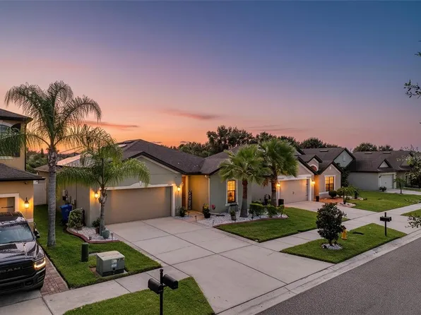 14447 Alistar Manor Dr, Wimauma, FL 33598