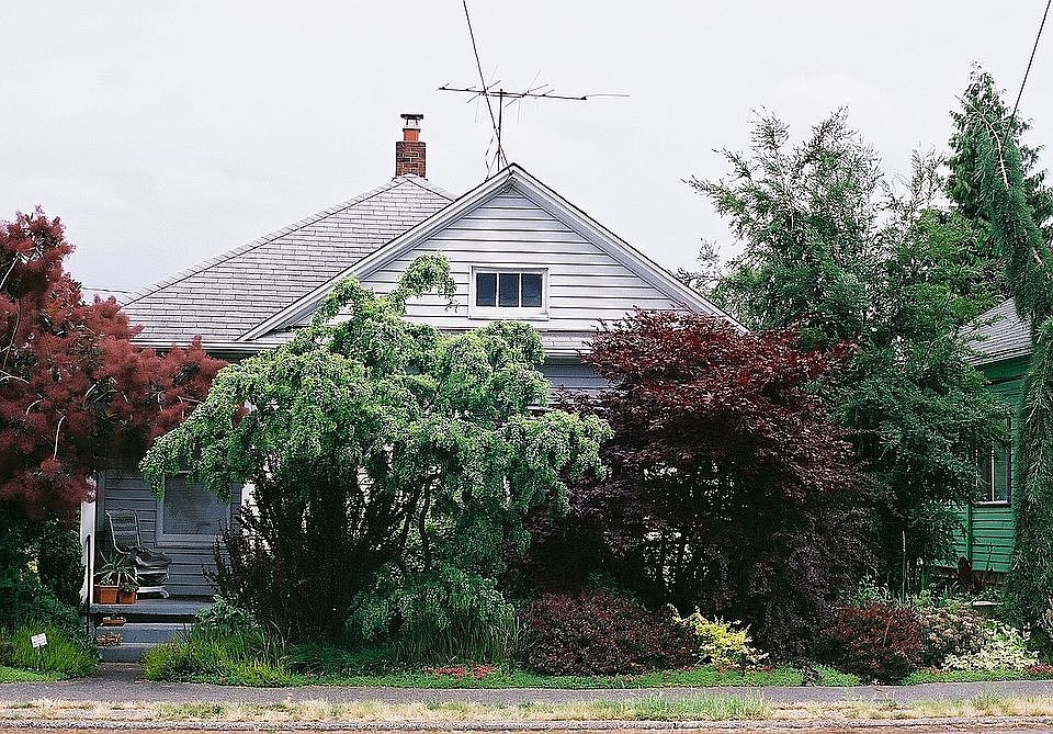 My sacred garden 2008