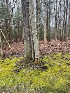 0 Timber Ridge Dr, Beckley, WV, 25801
