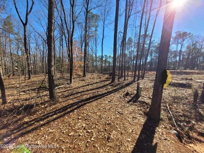254 McCain Rd, Eclectic, AL, 36024