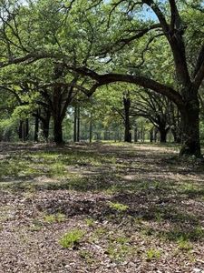 13421 Highway 25, Franklinton, LA, 70438