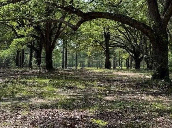 13421 Highway 25, Franklinton, LA 70438
