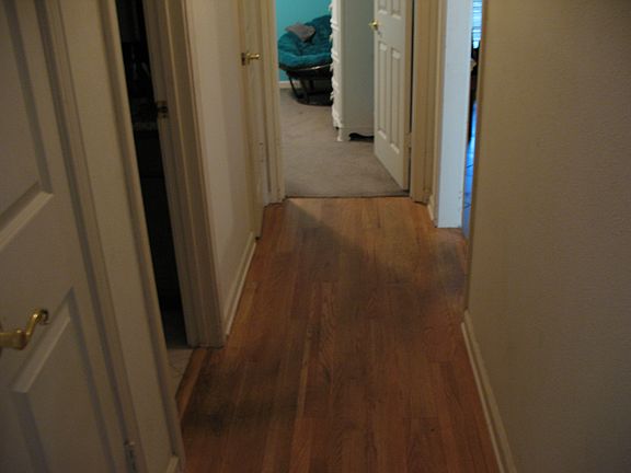4th image of 114 Parnell Dr