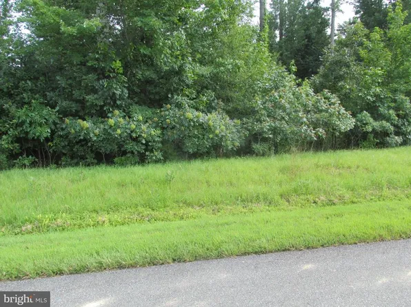 BLUE SKY WAY, BUMPASS, VA 23024