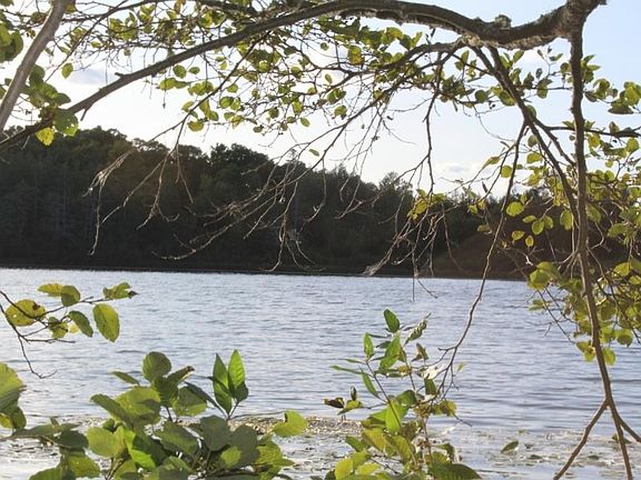5th image of LOT 4 Forest Ln