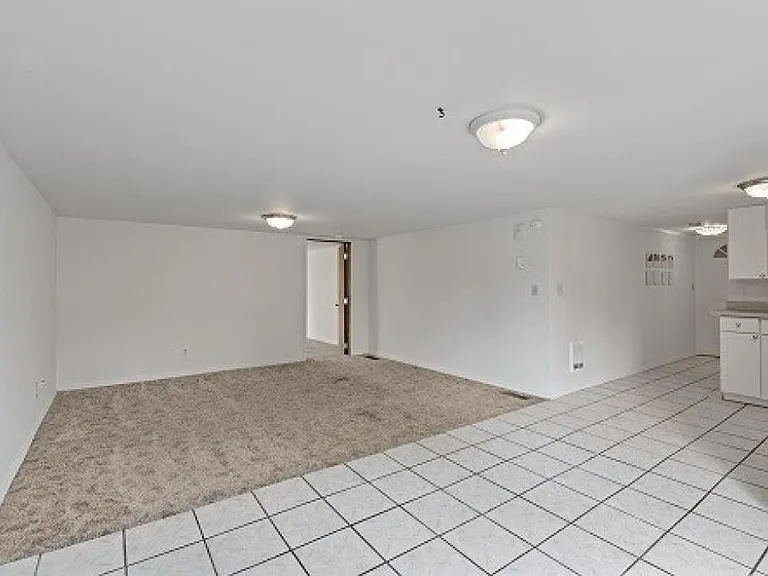 Dining area / living room