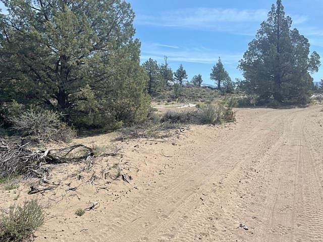 2nd image of 21 Shasta Valley Rd