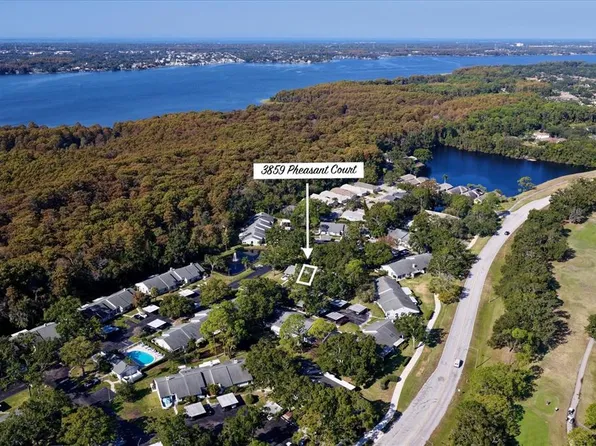 3859 Pheasant Ct, Palm Harbor, FL 34685