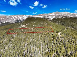 1171 County Road 787, Alma, CO 80420