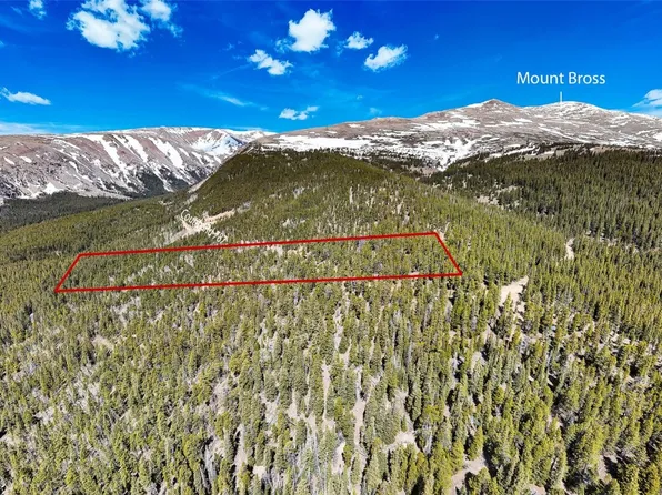 1171 County Road 787, Alma, CO 80420