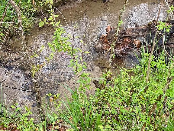 5th image of LOT TR3 Gists Creek Rd