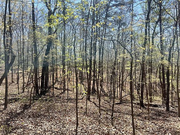 4th image of 93 Doll Mountain Rd