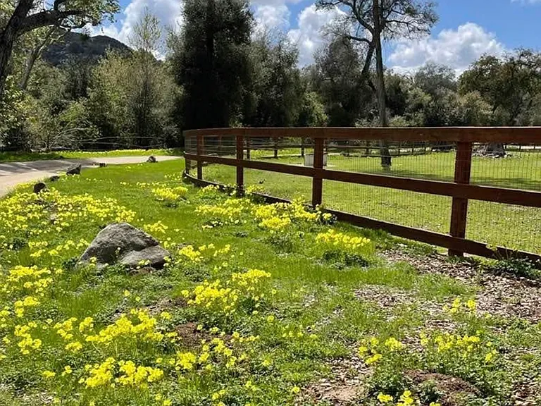 Old Guejito Grade Rd — Photo 1