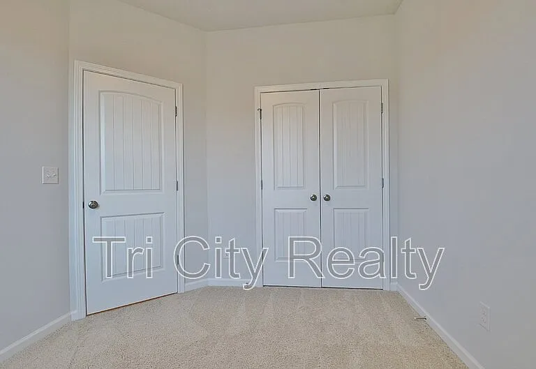 250 Cobalt Dr — Photo 51