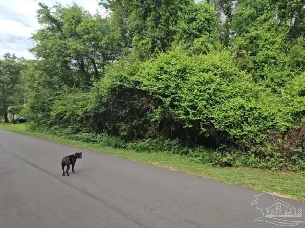 70 Juniper St, Mc David, FL 32568