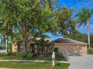 13811 Chandron Dr, Odessa, FL 33556