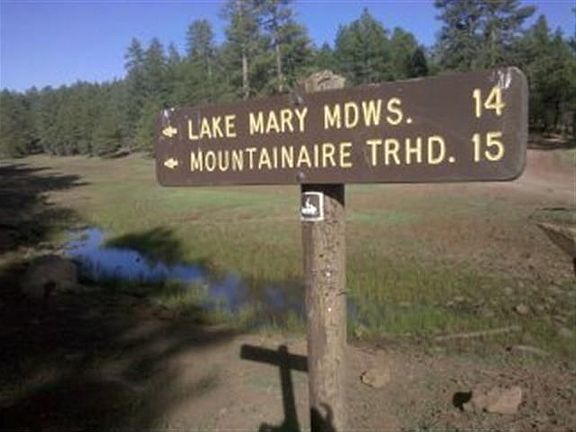 Nearby National Forest hiking trails