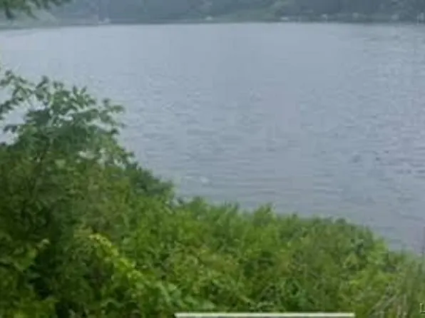 1000 Chisholm Rd, Onsted, MI 49265