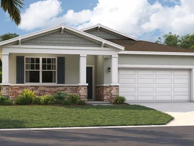 9205 Harris Hawk Dr, Leesburg, FL, 34788