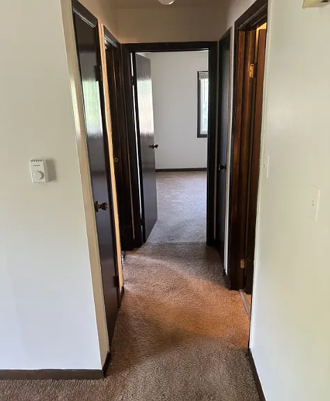 1901 Canal St #1B — Photo 10
