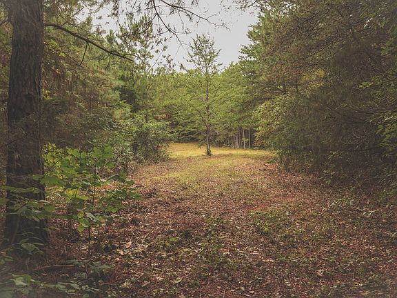 4th image of 0 Deer Ridge Trl NE
