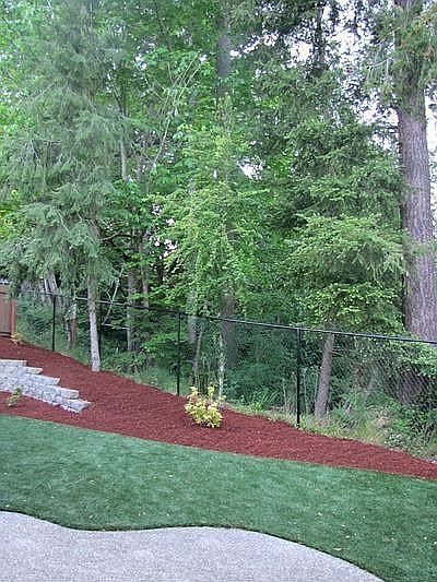 Backyard w greenbelt and stream