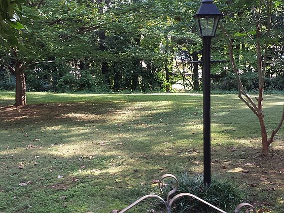 Back yard